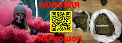 spice Новодвинск