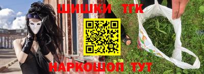 spice Новодвинск