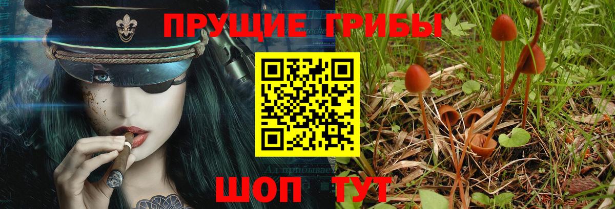 Галлюциногенные грибы прущие грибы  Галлюциногенные грибы Magic Shrooms  Вход с VPN  Туапсе 
